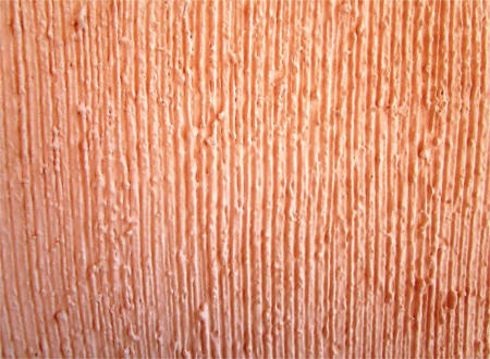 Pasta texturizada Pasta texturizada