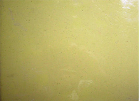 Piso decorativo